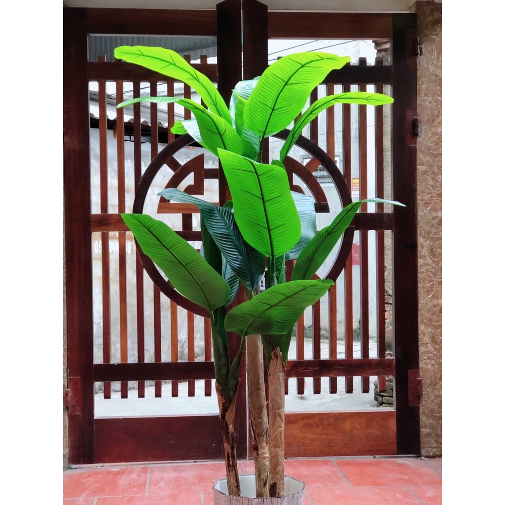 Cây giả cây chuối quê giả cao 1,6m