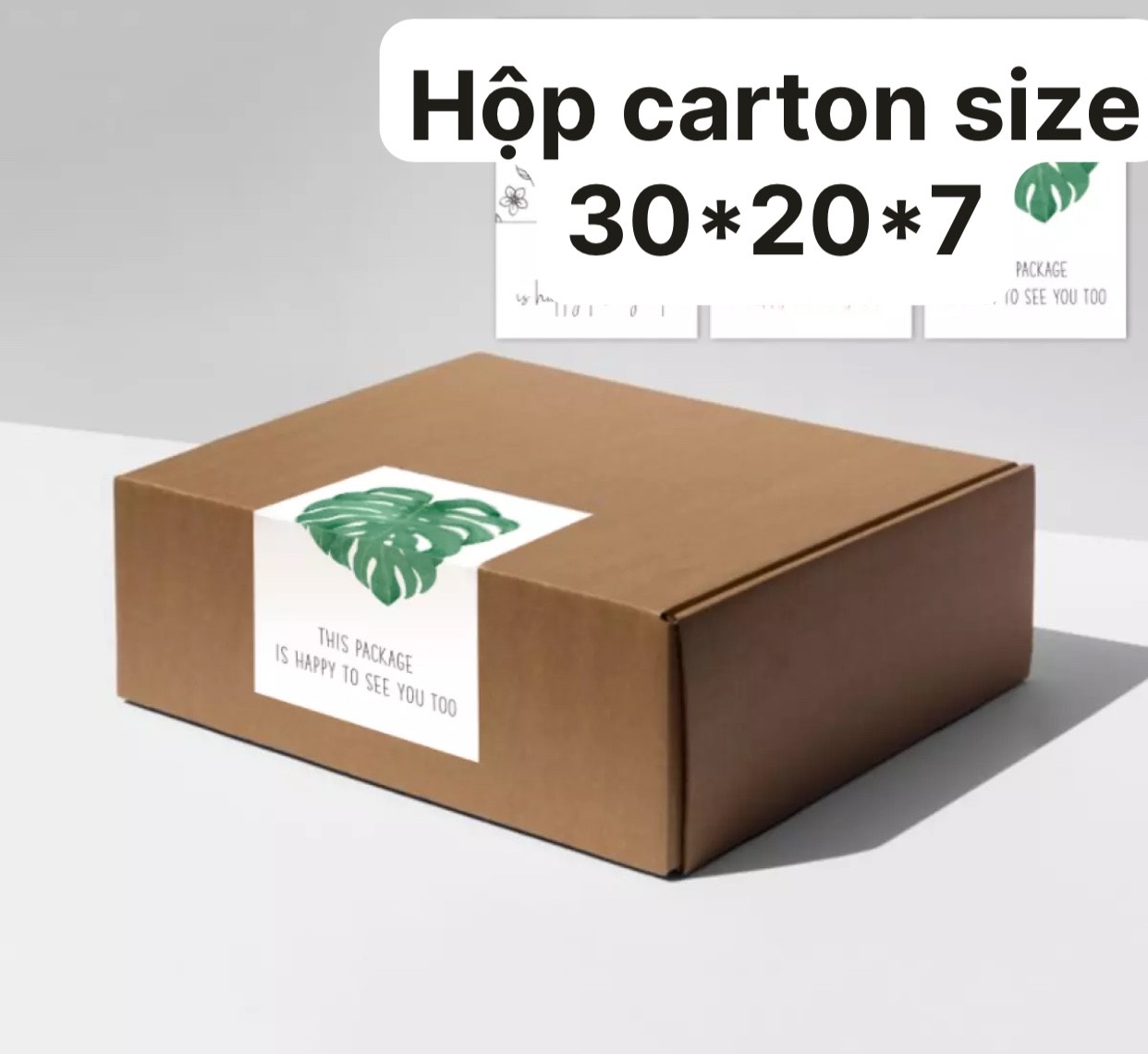 Hộp carton nắp gài nhiều lớp, hộp giấy đựng đồ hàng hóa làm quà tặng size 30*20*7