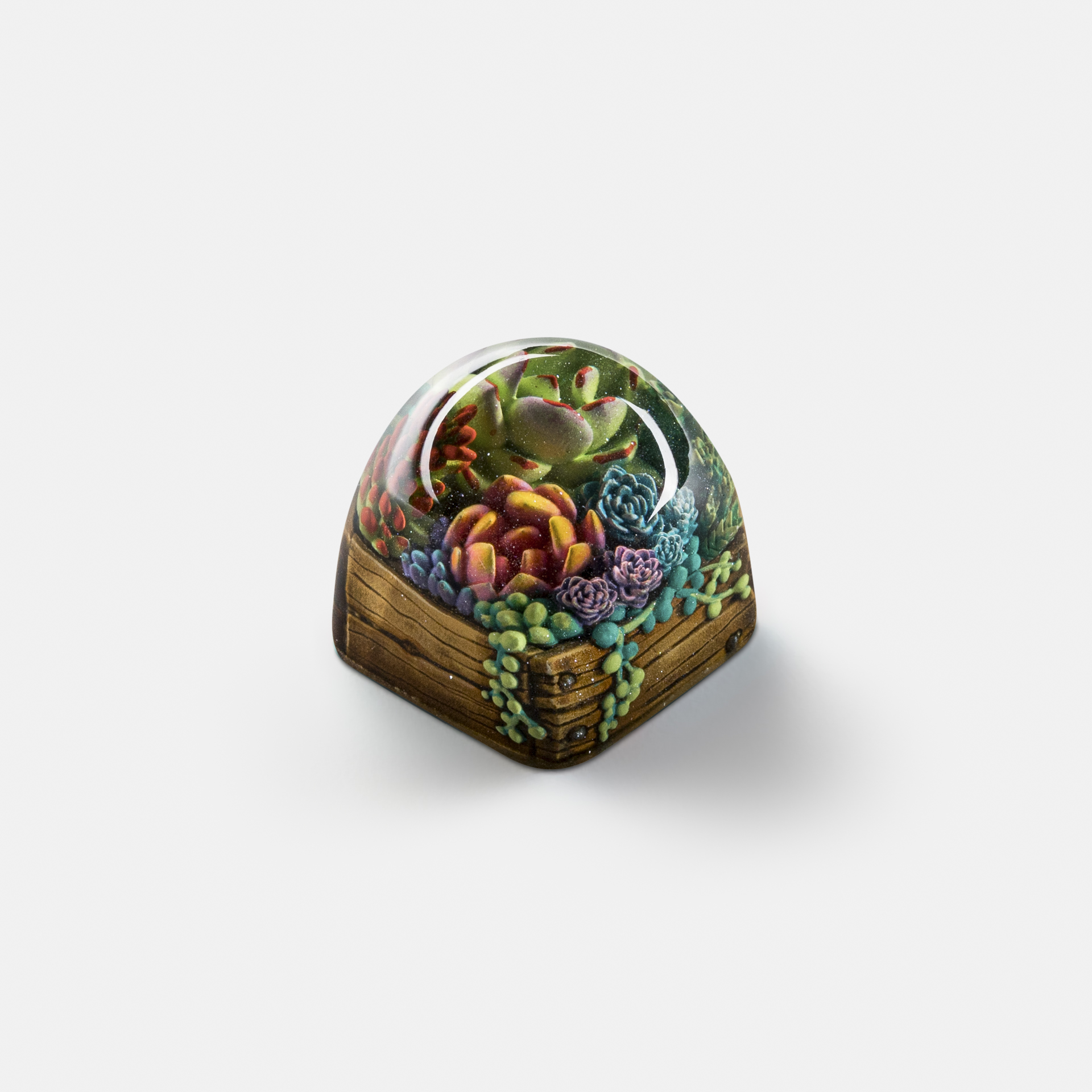 Keycap Artisan bàn phím cơ Dwarf Factory - Terrarium V2 - Loại Nút DOM