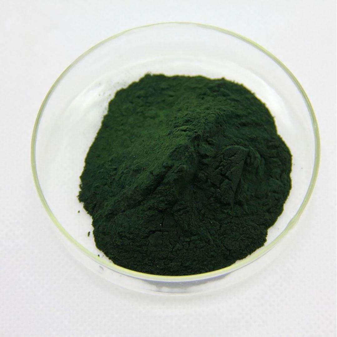 Tảo Bột Spirulina - Thức Ăn Artemia Cá Tép Cảnh (50g)