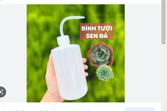 Bình tưới cây cho sen đá - Bình tưới cây sen đá xương rồng vòi cong dành cho sen đá