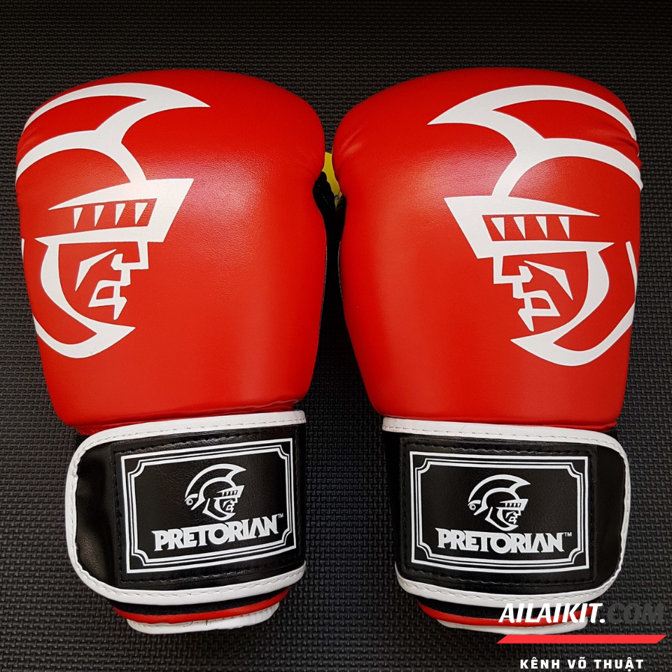 [HCM]{Găng PRETORIAN}  Găng Boxing Vovinam Vỗ Cổ Truyền Ailaikit