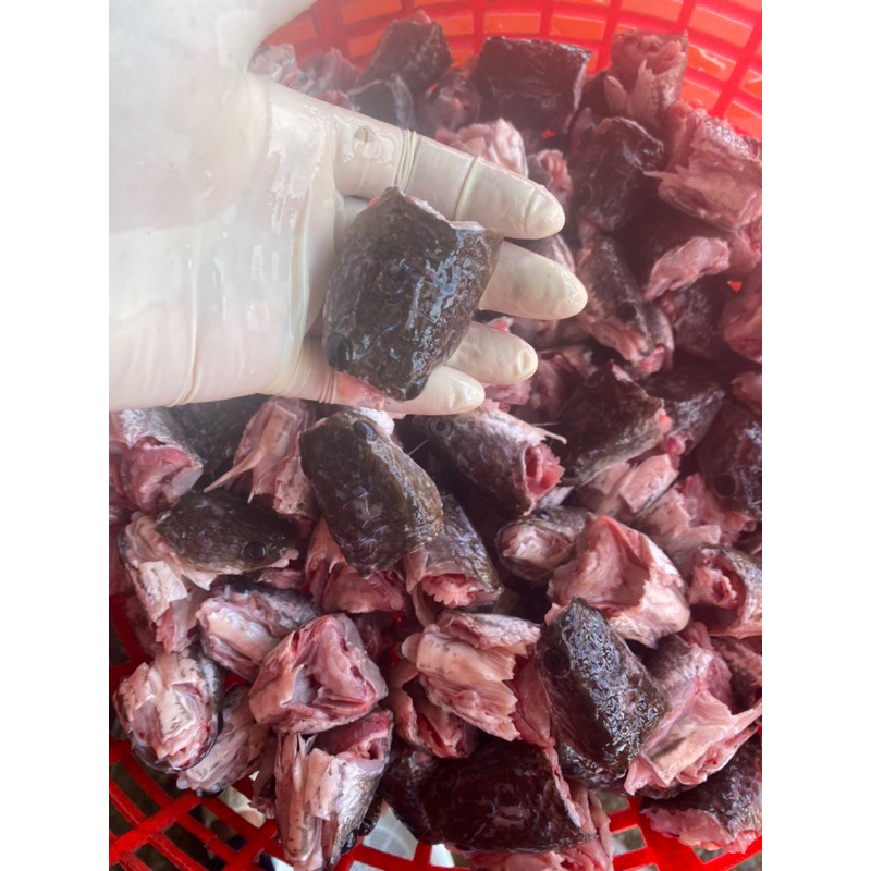Đầu cá lóc đồng bịch 1kg