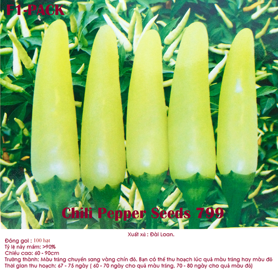 [HCM]Hạt giống ớt xiêm trắng Tabaco p98 nhiều trái dễ trồng -gói 50 hạt -tỉ lệ nảy mầm>85%