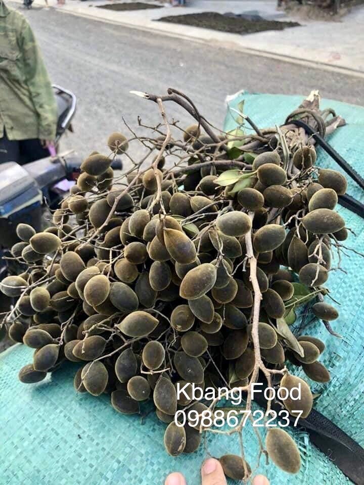Say rừng gia lai/say trung 1000gr-2000gr-3000gr-10000gr
