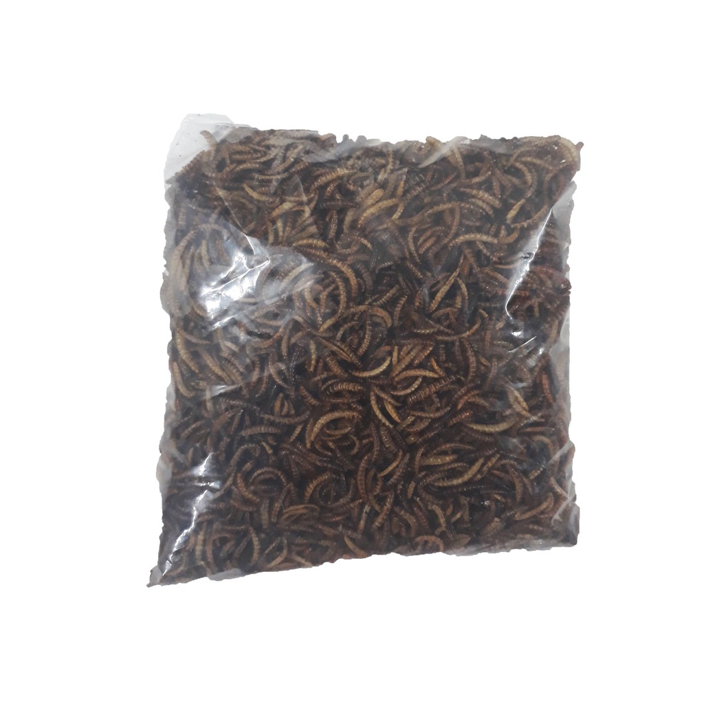 Sâu Khô Loại Đẹp Cho Chim Hamster Ăn 100gr - Sâu Khô Cho Gà Trộn Chung Với Cám - Thức Ăn Chim Hamster