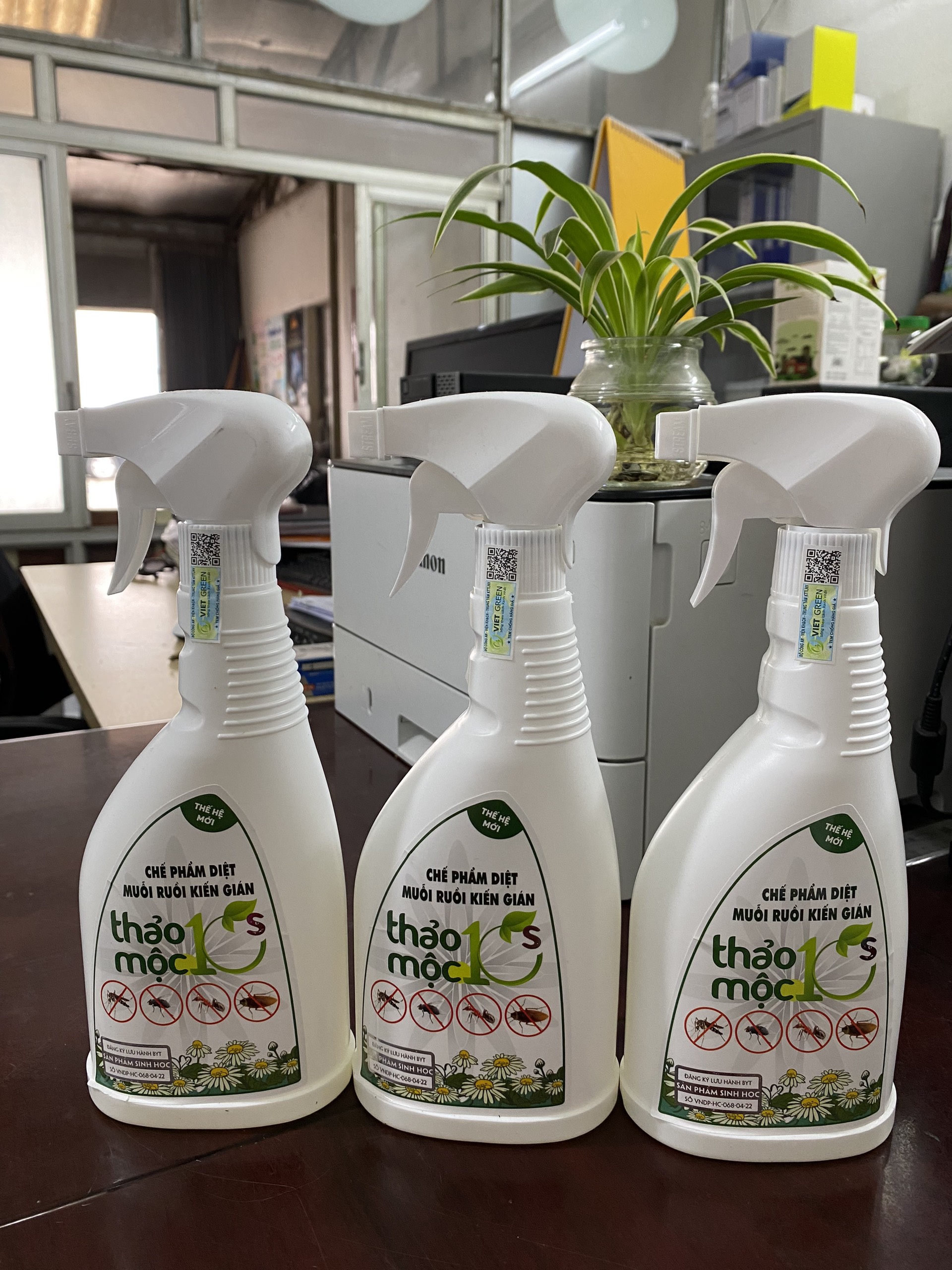 Bình xịt diệt côn trùng diệt muỗi, kiến , gián THẢO MỘC 10S Sinh Học 100% - An toàn Hiệu Quả đã được bộ Y tế cấp phép và lưu hành