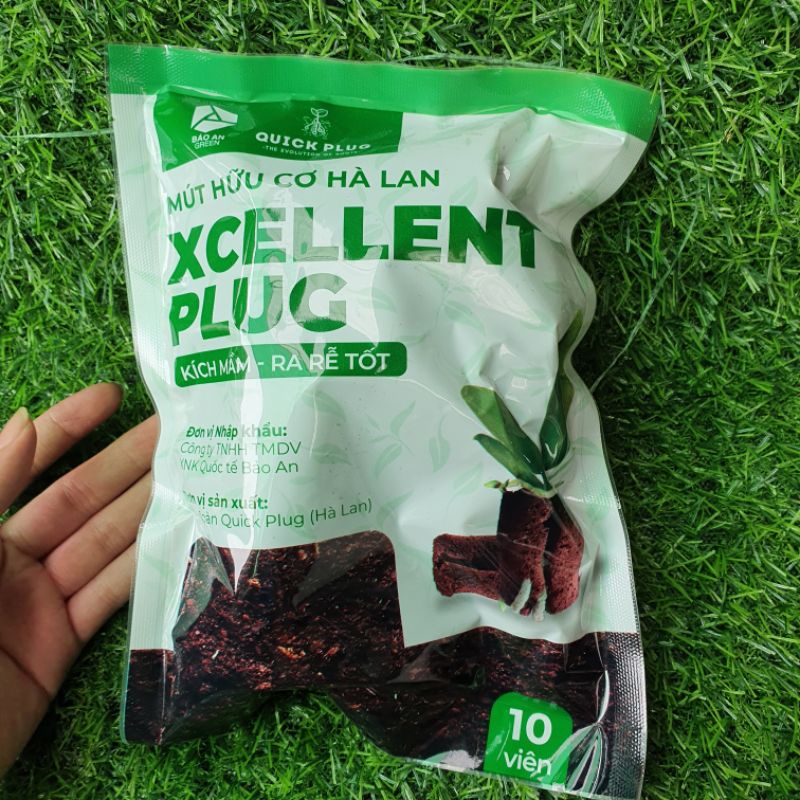 10 viêm Mút hữu cơ hà lan,mút ươm ki,chế phẩm hoa lan, kích rễ