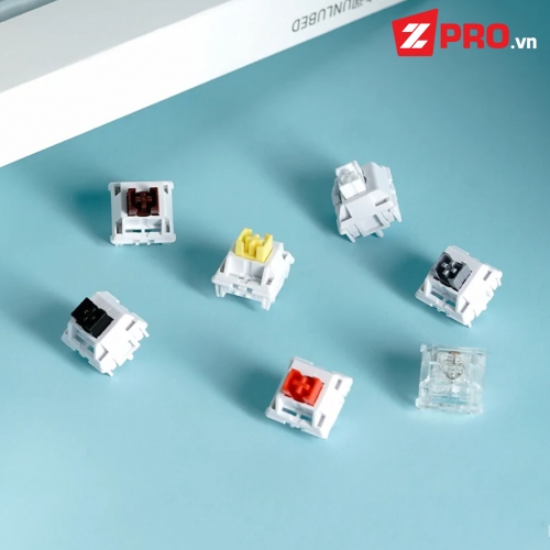 Zpro.vn - switch ws