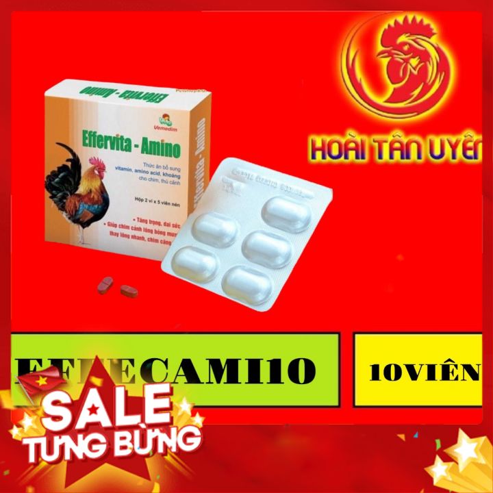 Effervita-Amino Thức ăn bổ sung vitamin, amino acid, khoáng cho chim, thú cảnh 2 vĩ 10 viên