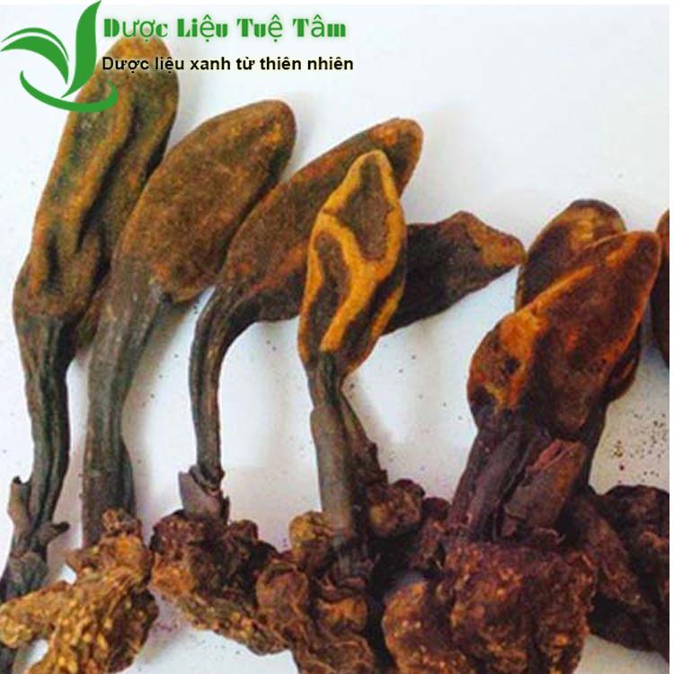 [HCM]1KG Nấm ngọc cẩu khô - NGUYÊN BÚP