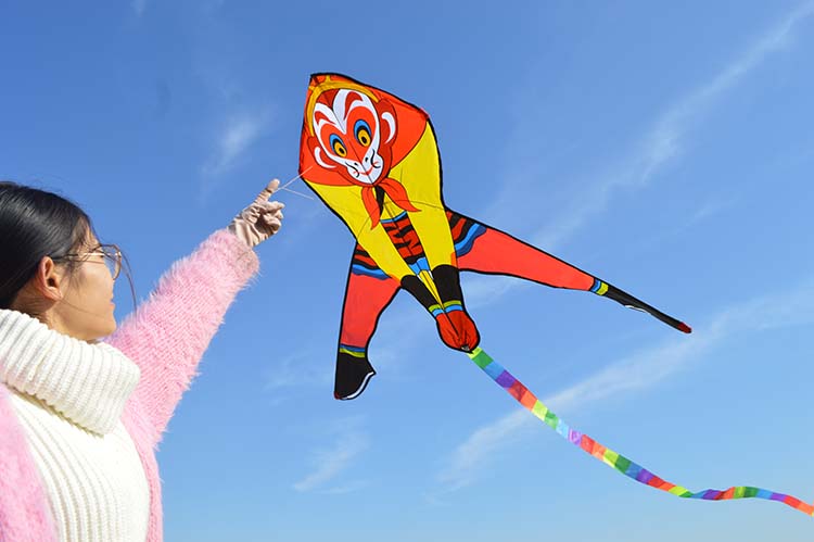 [HCM]( MUA 1 THÀNH 3) DIỀU TÔN NGỘ KHÔNG (KHUNG FIBERGLASS)