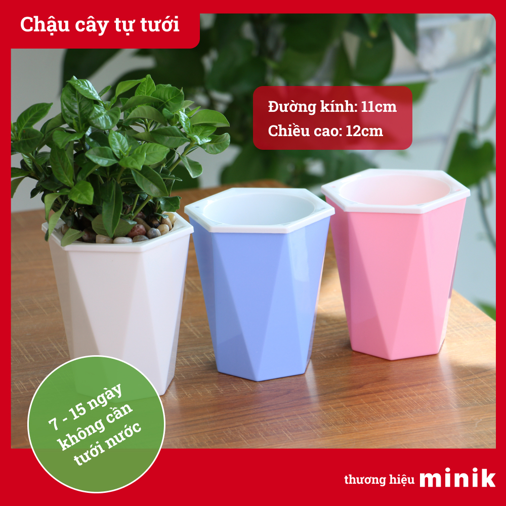 Chậu trồng cây tự dưỡng, hình kim cương MINIK, chậu cây thông minh, cây phát triển tốt mà không cần tưới trong 7-14 ngày, chất liệu nhựa PP, không mùi, kích thước 11cm x 12cm