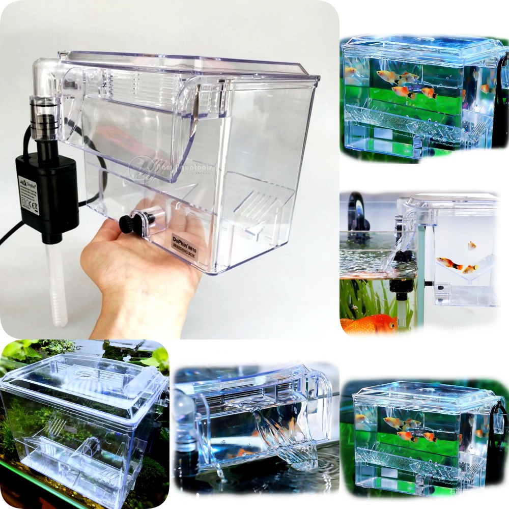 Box Tép, Lồng Cách Ly Cá Tép Ngoài | Lồng Dưỡng Cá Cảnh Treo Ngoài Có Bơm Tạo Dòng Tuần Hoàn Nước