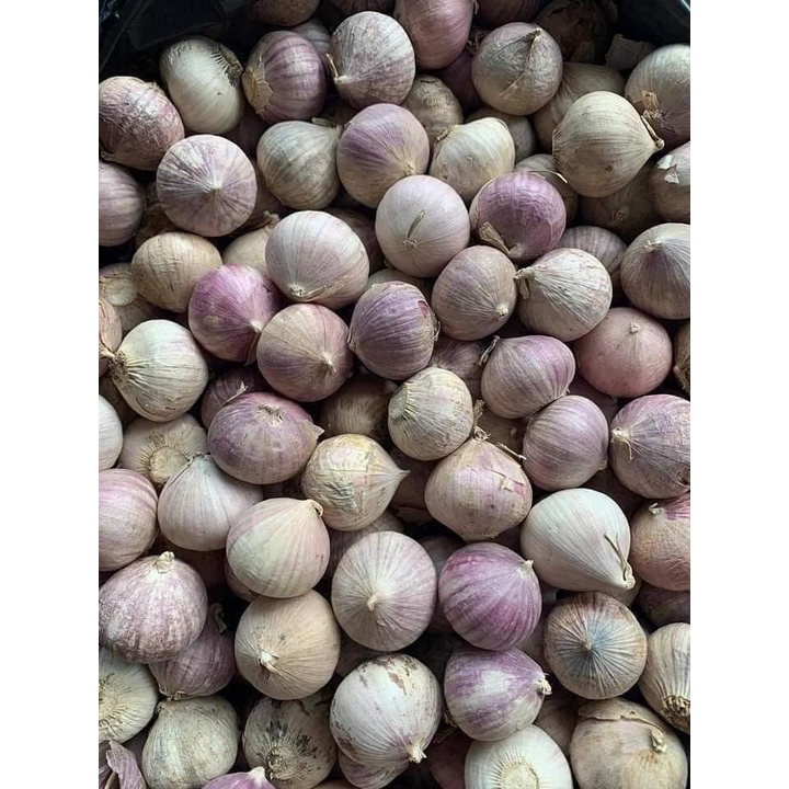 1kg tỏi cô đơn hàng loại 1