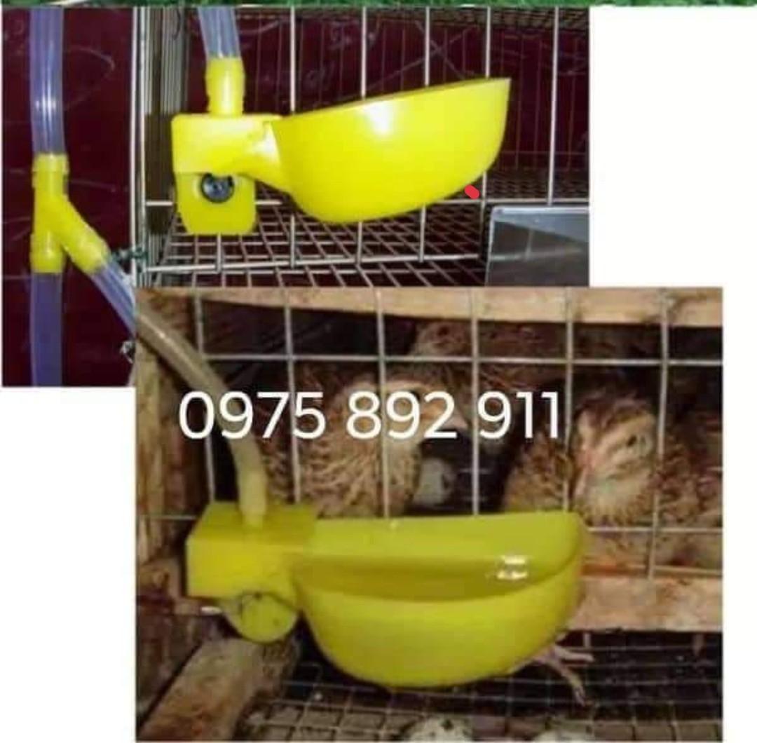 Combo 10 cái máng uống tự động cho chim cút bồ câu