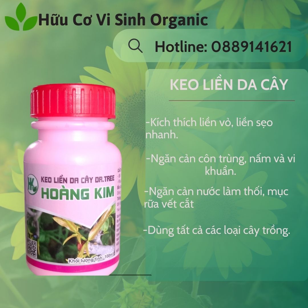 KEO LIỀN DA CÂY HOÀNG KIM/ KÈO LIỀN SẸO/KEO LIỀN DA CÂY/KEO HỒNG/ Liền Sẹo Vết Cắt nhanh , đẹp