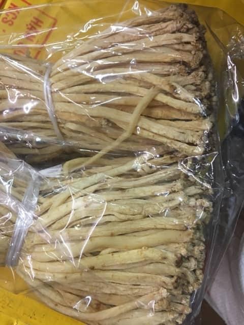 100g đẳng sâm rừng