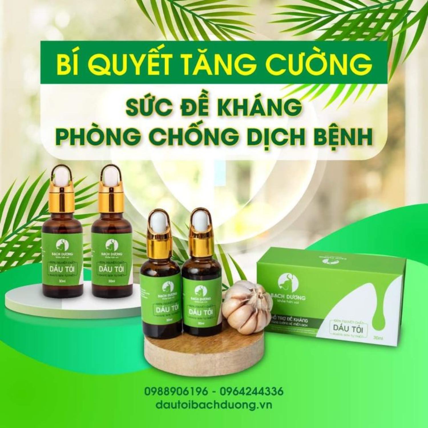 Tinh dầu tỏi Bạch Dương chính hãng 100%
