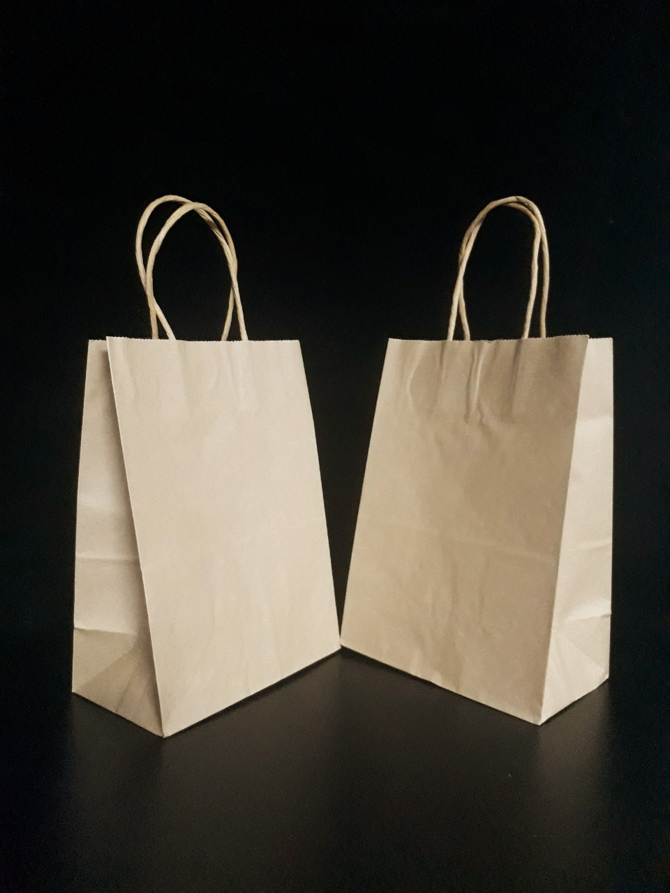 Túi giấy kraft take away