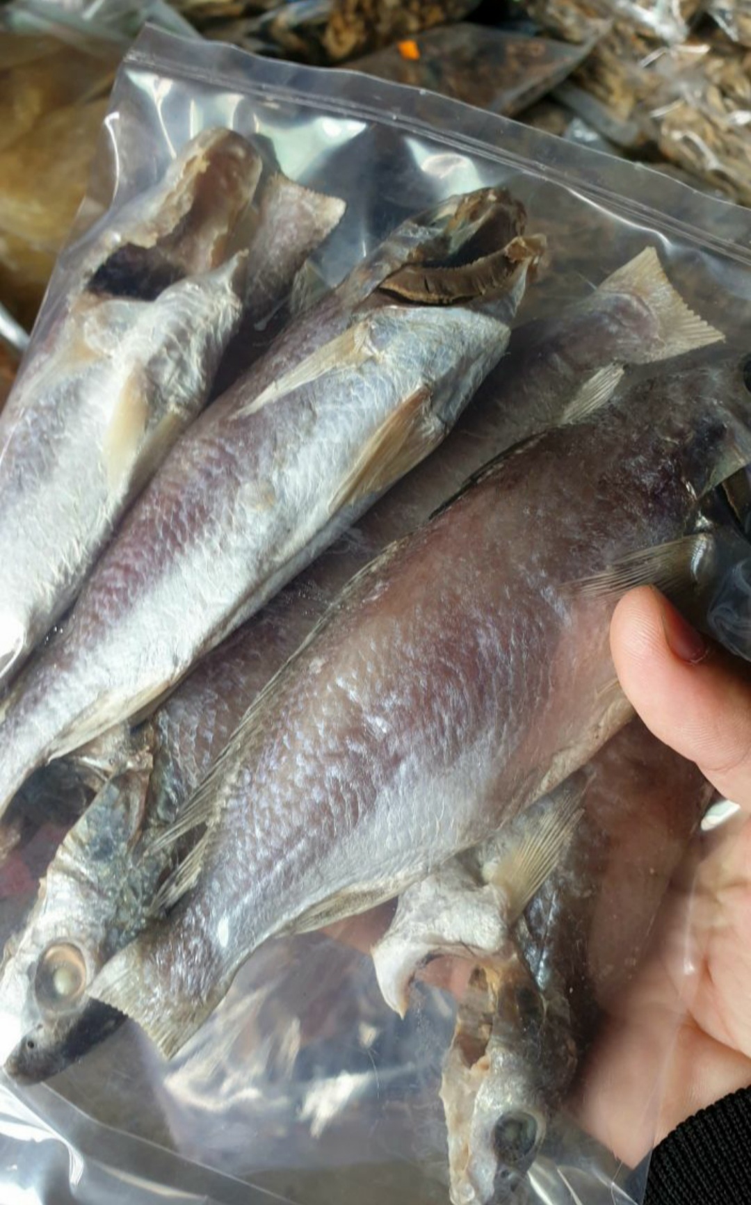 Khô cá lù đù, Khô cá đù mặn loại lớn bao ngon 1kg, Shop chế ba