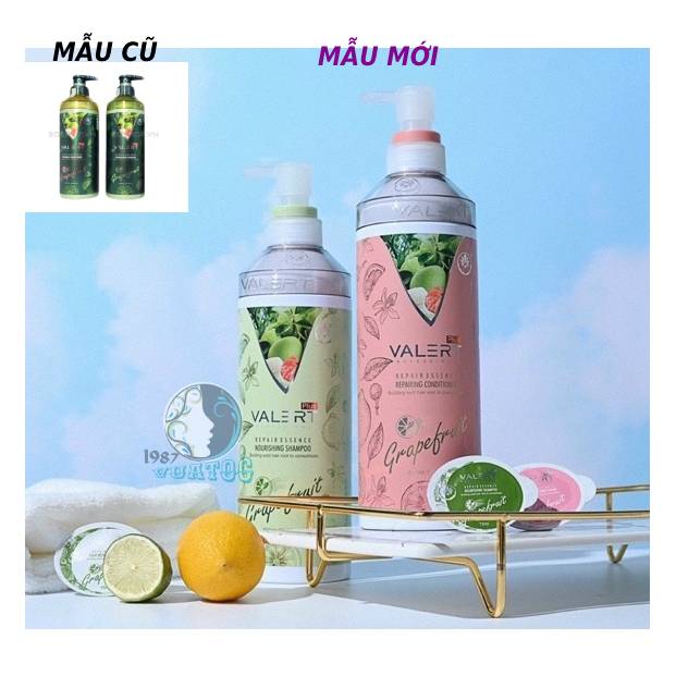Bộ dầu gội xả Bưởi Grape Fruit 850ml Kích thích mọc tóc Chống rụng tóc Dầu gội xả bưởi Valert Chống gàu dưỡng tóc mềm mượt