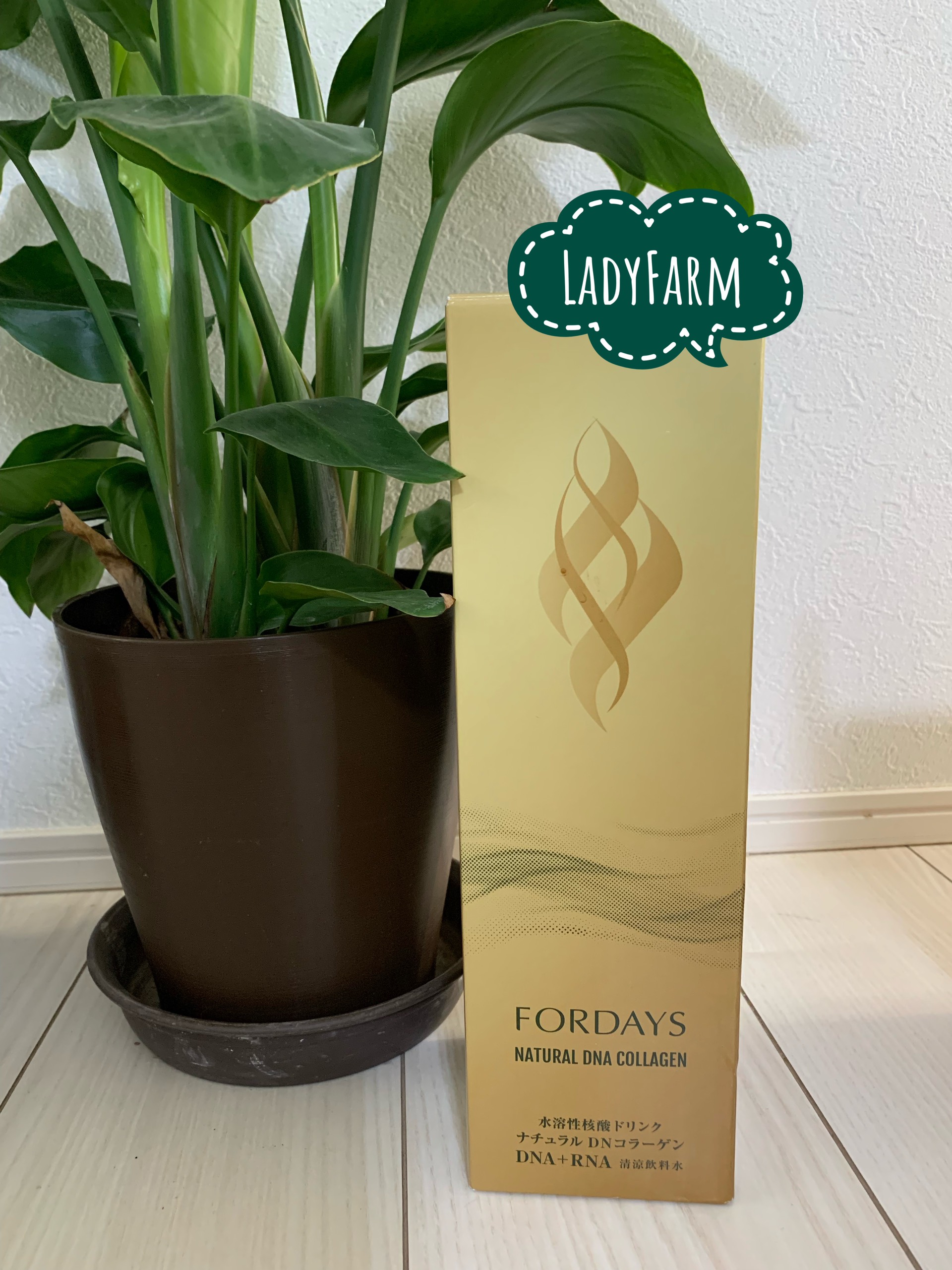 FORDAYS NATURAL 肌寒い DNA COLLAGEN 720ml 2本セット