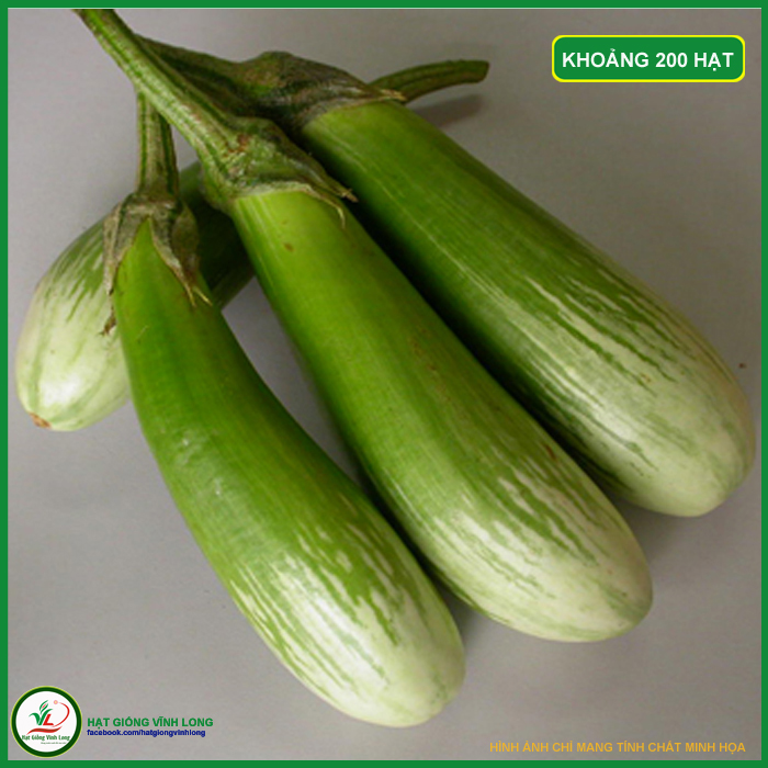 Hạt giống Cà phổi sọc lem TN 106 - 1g, hiệu Trang Nông chất lượng, nảy mầm cao