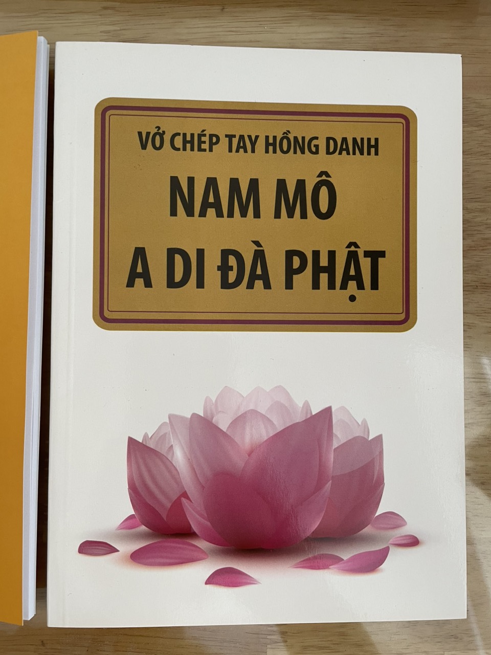 Vở chép Kinh Hồng Danh