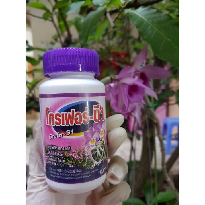 Vitamin B1 Grofer - phân bón lá cao cấp Thái Lan