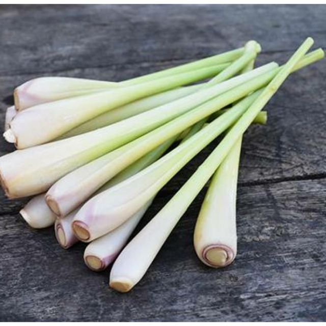 Gói 10 hạt giống Sả Chanh