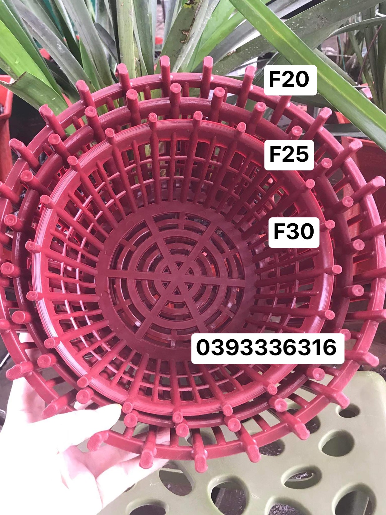 10 Chậu nhựa trồng lan có nan phụ f20