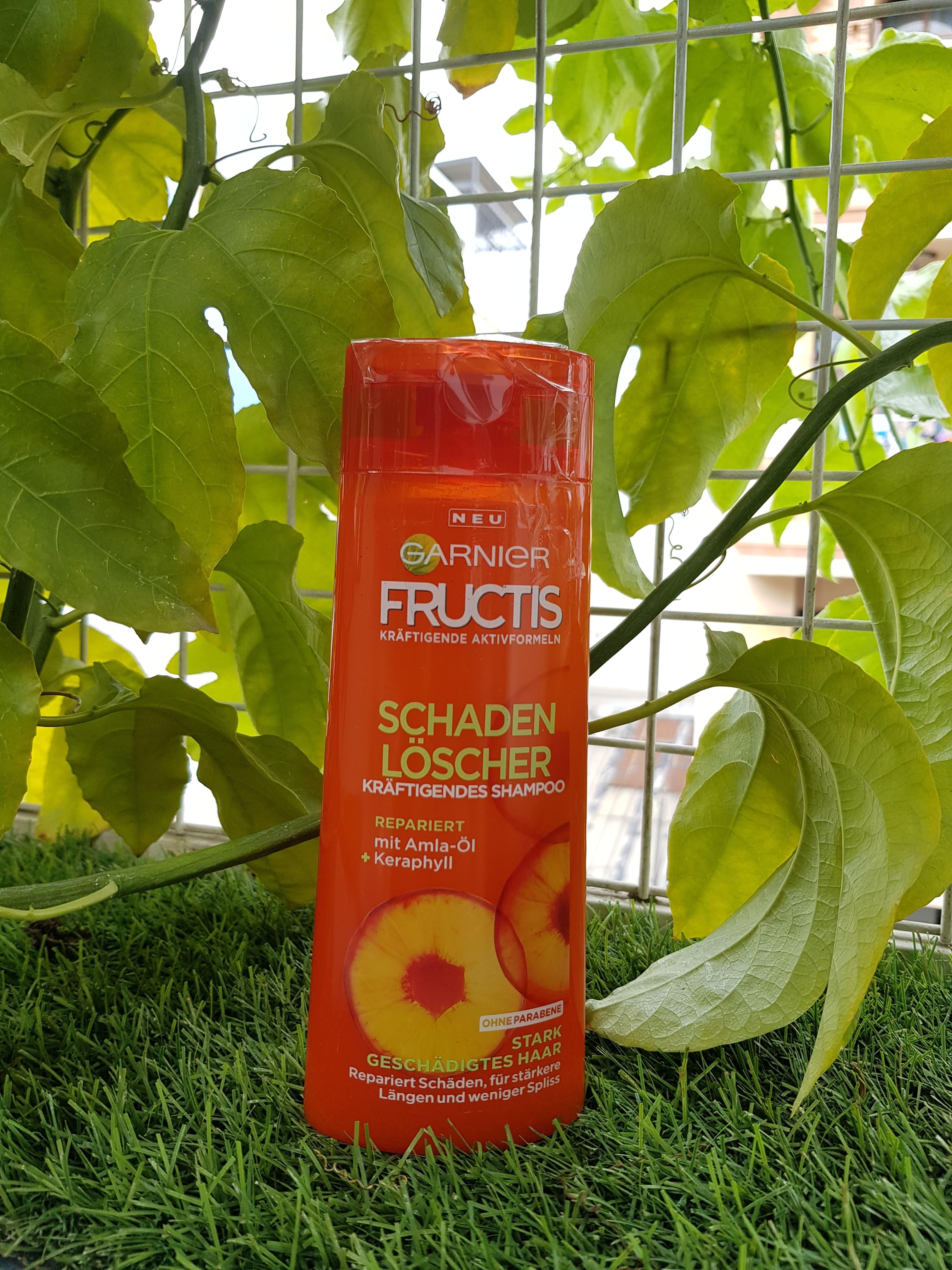 Dầu gội phục hồi tóc hư tổn Garnier Fructis