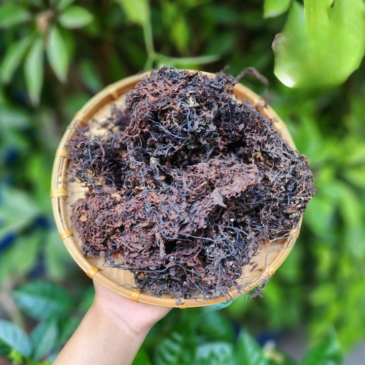 Rong biển nấu nước sâm