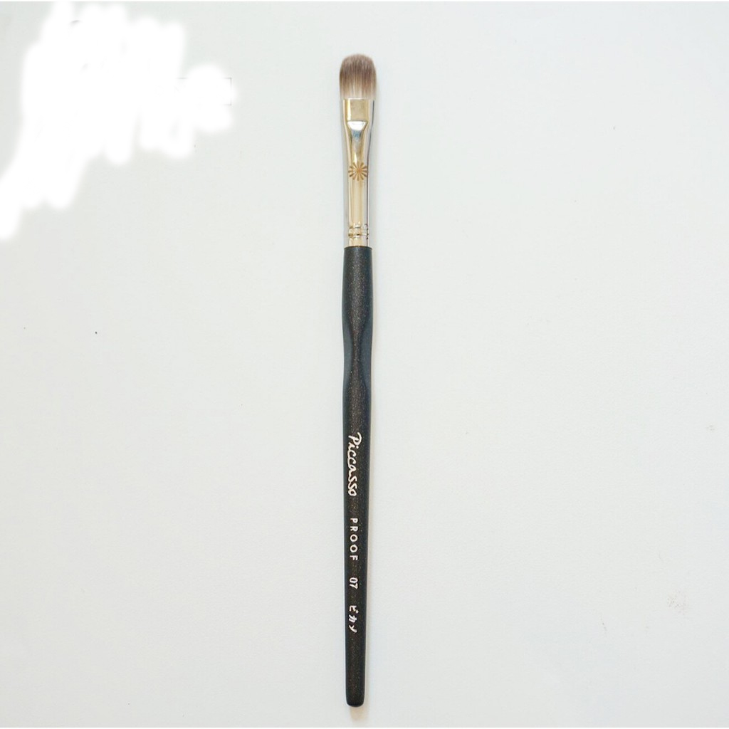 [HCM]Cọ che khuyết điểm Picasso Proof 07