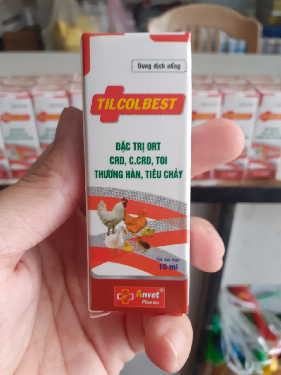 5 Lọ TILCOLBEST -  Trị hen khẹc - sưng mặt - chảy nước mắt Gà Đá