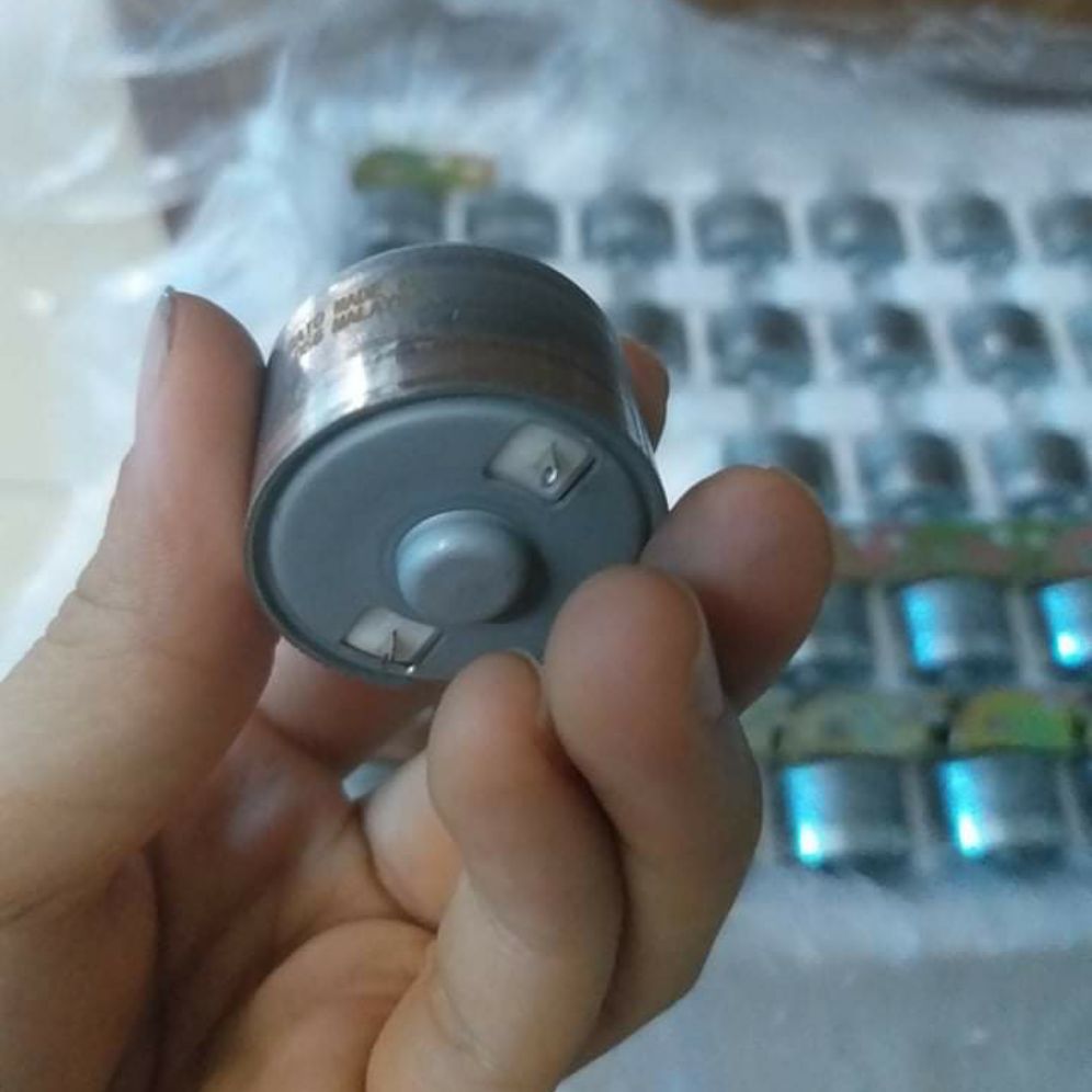 Mô Tơ 12V zin dùng cho Ổn áp lioa standaaa