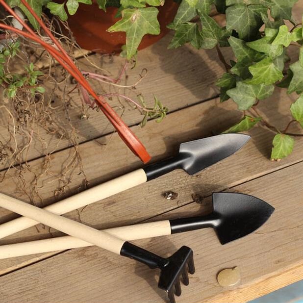 [HCM][SIÊU KUTE] BỘ DỤNG CỤ LÀM VƯỜN MINI 3 MÓN CỰC DỄ THƯƠNG DÙNG TRỒNG VÀ CHĂM SÓC CÂY CẢNH CHẬU NHỎ