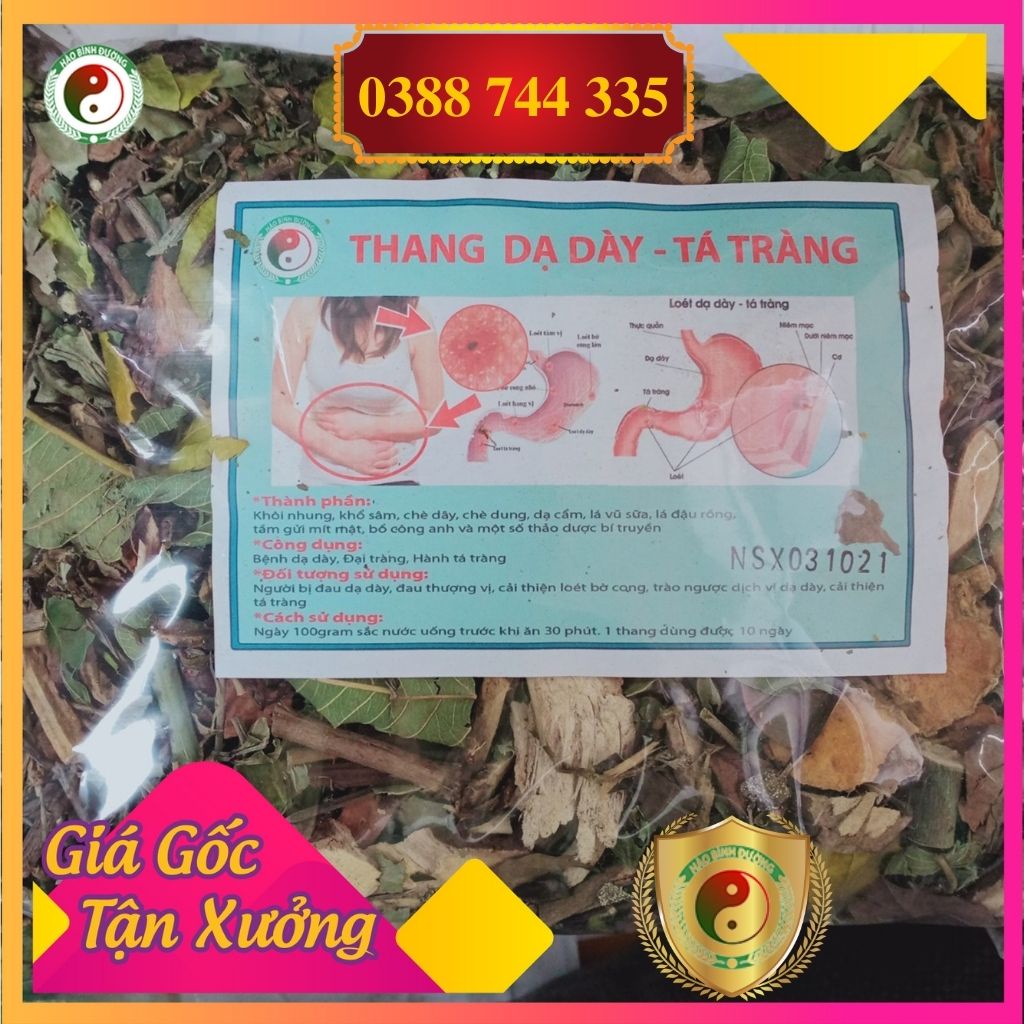 ✅ lá dạ dày dân tộc dao giúp tiêu hóa tốt giúp ăn ngon giảm đầy bụng