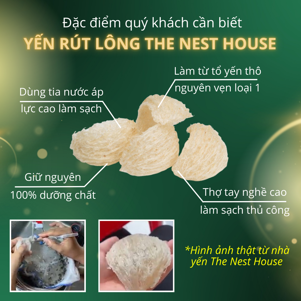 Tổ yến rút lông nguyên tổ xuất khẩu - yến sào cao cấp kèm hộp túi The Nest House