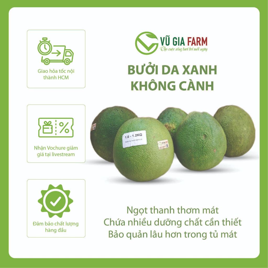 [Nationwide] Combo 4 - 6 Green Skin Grapefruits (4.6-5kg) - Southern Specialty, Delicious Grapefruit, Sweet and Juicy with a Sour Aftertaste