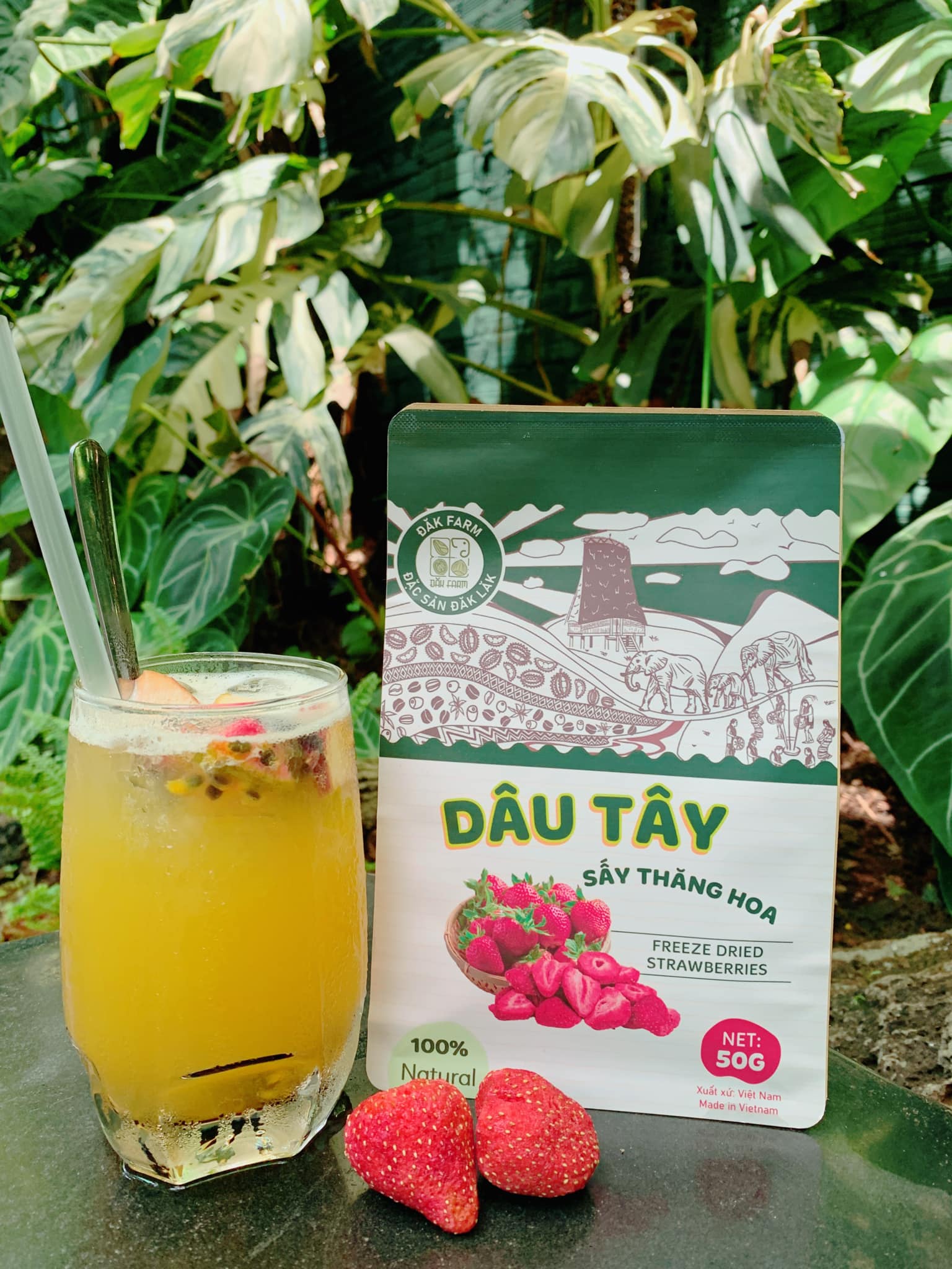 Dâu tây sấy thăng hoa - đắk farm