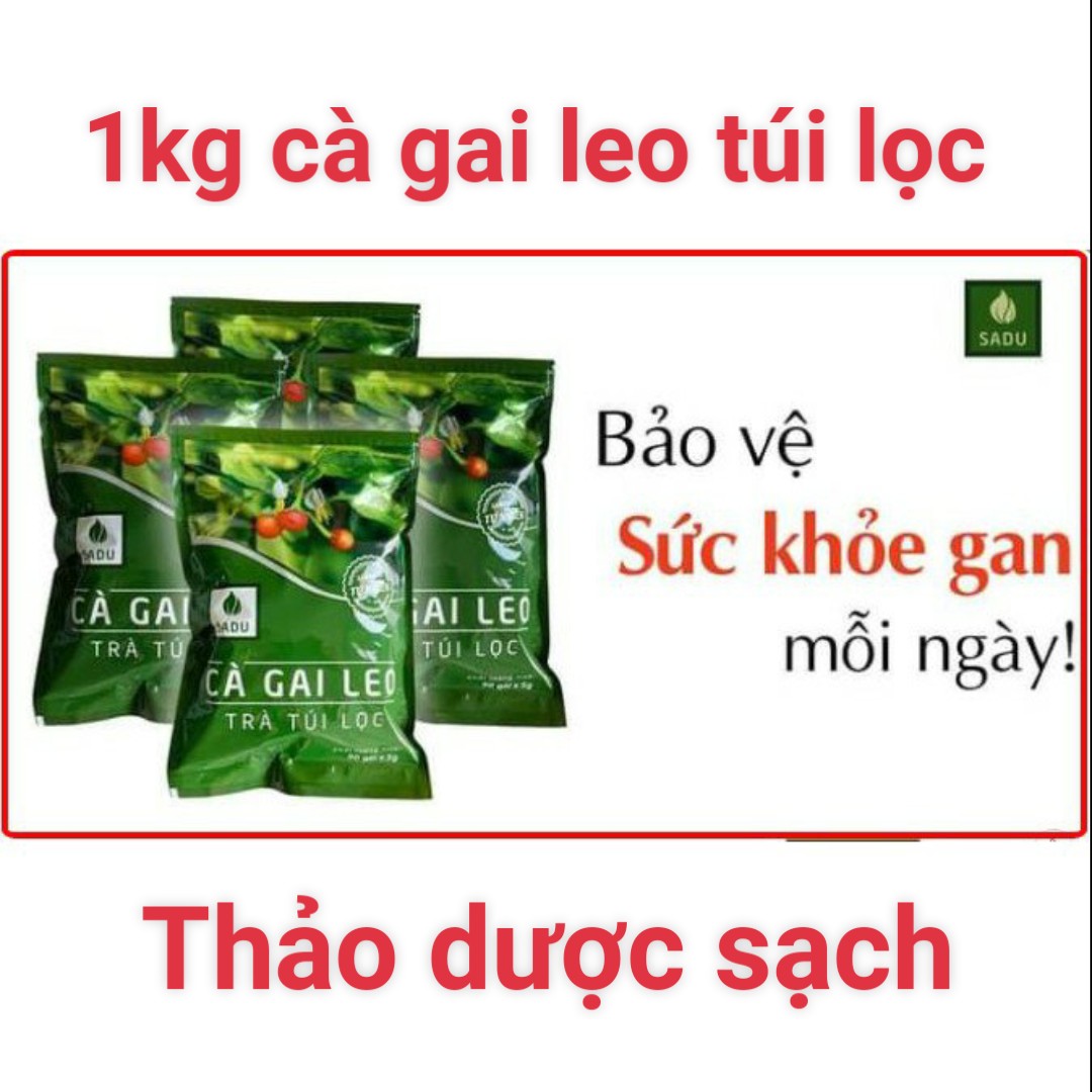 Trà cà gai leo túi lọc giải độc gan 1kg gồm 4 bịch 250g-sp hút chân không