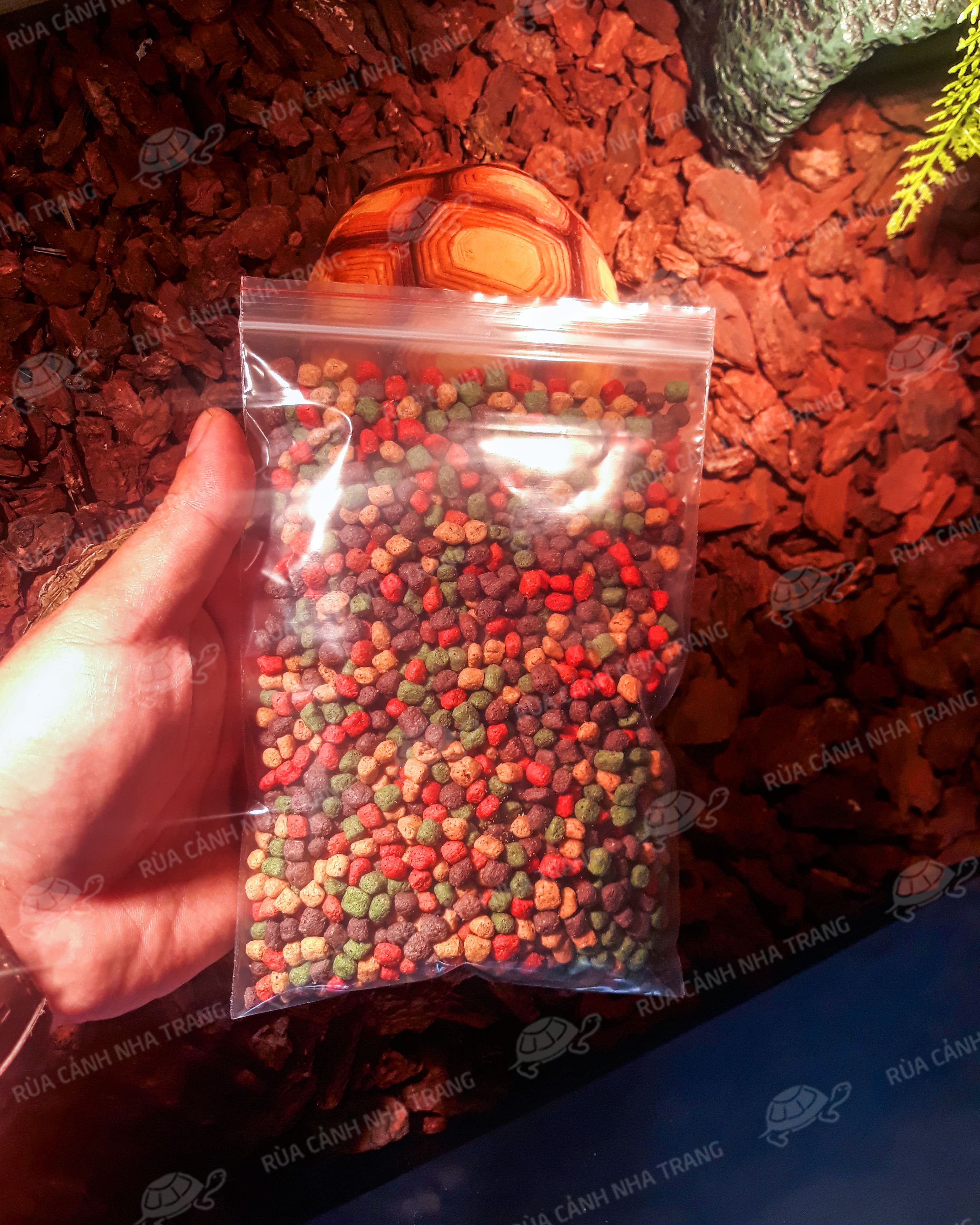 REPCAL 100gr THỨC ĂN CHO RÙA, THỨC ĂN TỔNG HỢP CHO IGUANA, THÚ CƯNG BÒ SÁT.