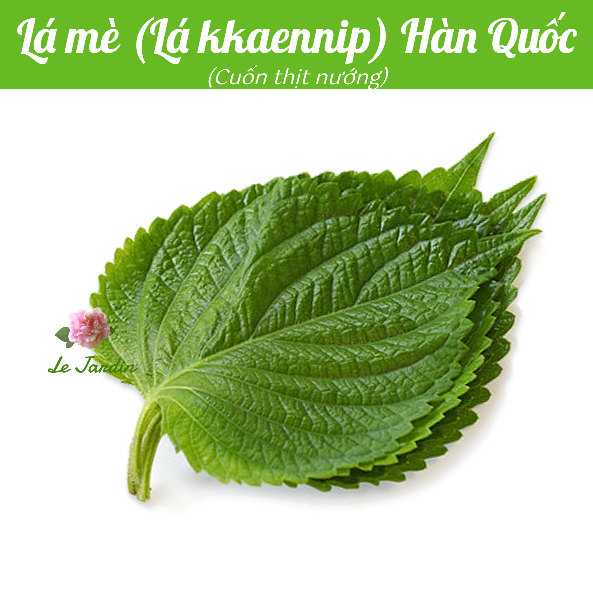 Hạt giống lá mè hàn quốc gói 0,5gr - chịu nhiệt, dễ trồng