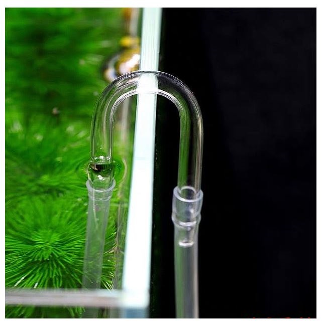 Nối ống khí U chống gập gẫy dây dẫn khí Co2/ O2 vào bể