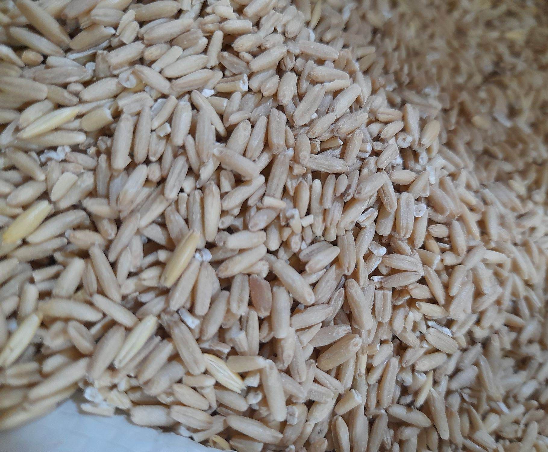 Yến mạch canada tách vỏ 1kg