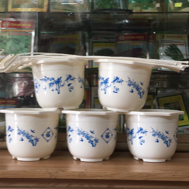 Chậu treo phát tài- combo 5 cái đường kính 20cm