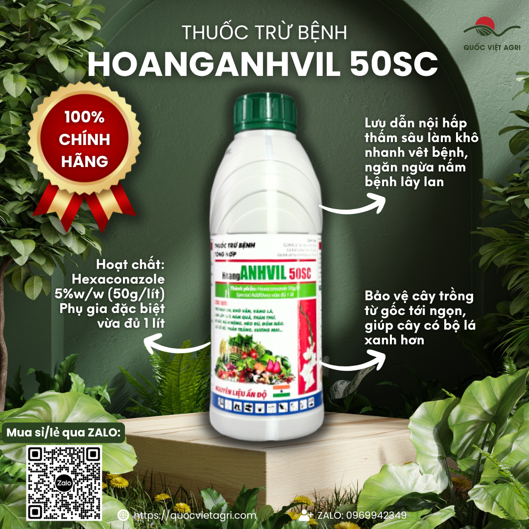 Thuốc trừ bệnh HOANGANHVIL 50SC (chai 1 LÍT) - Hexaconazole 50g/l Trừ nấm bệnh, đạo ôn, thán thư
