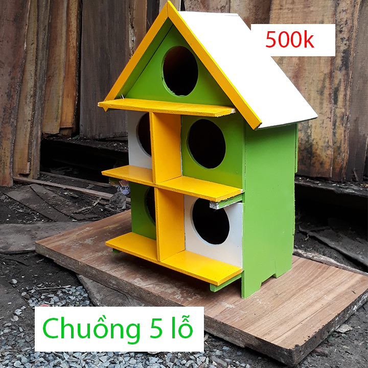 Chuồng bồ câu 5 lỗ từ gỗ tự nhiên miễn phí vận chuyển khi đặt giao trực tiếp